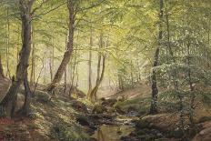 A Forest Glade-Johannes Boesen-Framed Premier Image Canvas