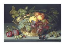 Flower Still Life with Crown Imperial, 1626-Johannes Bosschaert-Giclee Print