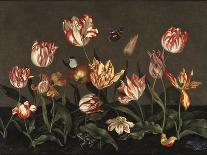 Flower Still Life with Crown Imperial, 1626-Johannes Bosschaert-Framed Giclee Print