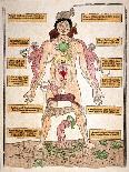 Bloodletting Chart, 1493-Johannes De Ketham-Mounted Giclee Print