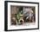 Johannes Kepler (1571-1630)-null-Framed Giclee Print