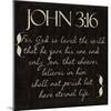 John 3-16-Taylor Greene-Mounted Art Print