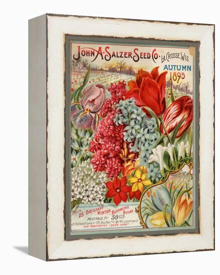 John A. Salzer Seed Co. Autumn 1895-null-Framed Stretched Canvas