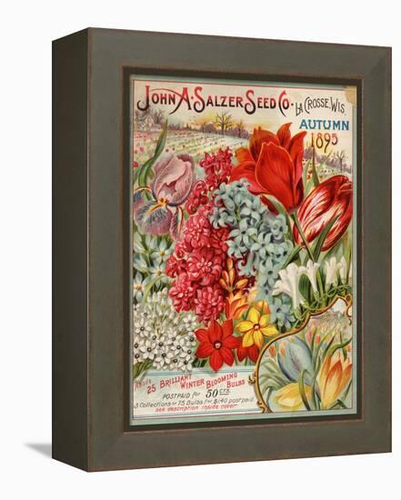 John A. Salzer Seed Co. Autumn 1895-null-Framed Stretched Canvas