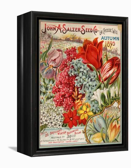 John A. Salzer Seed Co. Autumn 1895-null-Framed Stretched Canvas