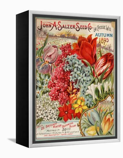 John A. Salzer Seed Co. Autumn 1895-null-Framed Stretched Canvas