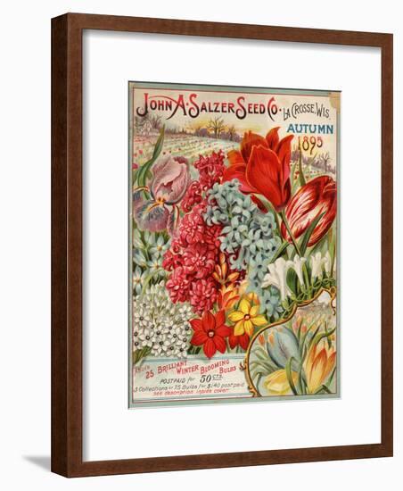 John A. Salzer Seed Co. Autumn 1895-null-Framed Art Print