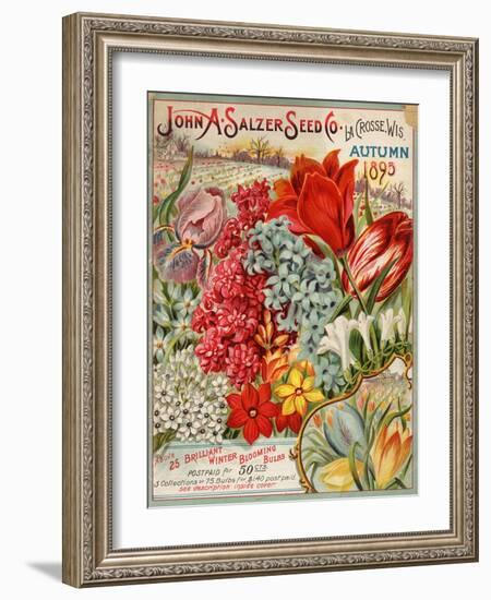 John A. Salzer Seed Co. Autumn 1895-null-Framed Art Print