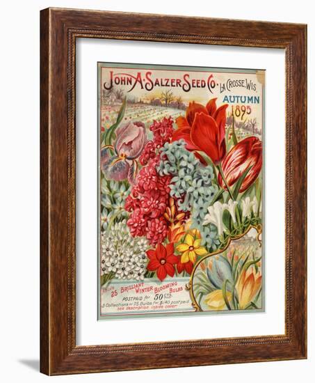 John A. Salzer Seed Co. Autumn 1895-null-Framed Art Print