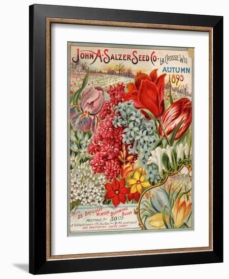 John A. Salzer Seed Co. Autumn 1895-null-Framed Art Print