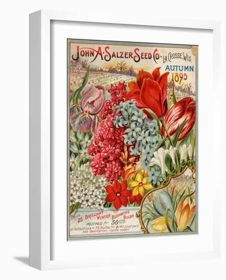 John A. Salzer Seed Co. Autumn 1895-null-Framed Art Print