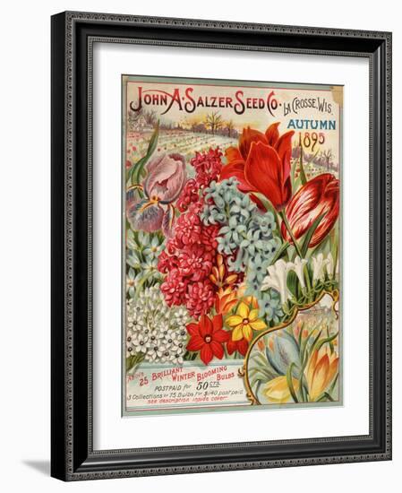 John A. Salzer Seed Co. Autumn 1895-null-Framed Art Print