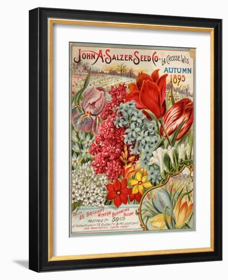 John A. Salzer Seed Co. Autumn 1895-null-Framed Art Print