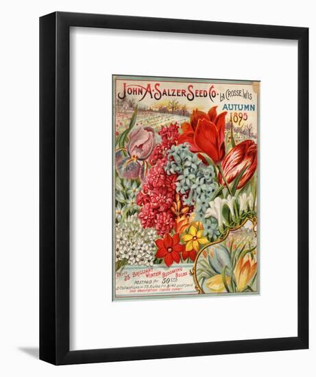 John A. Salzer Seed Co. Autumn 1895-null-Framed Art Print