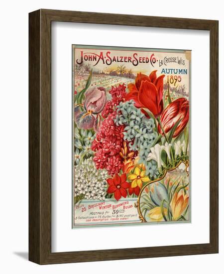 John A. Salzer Seed Co. Autumn 1895--Framed Art Print