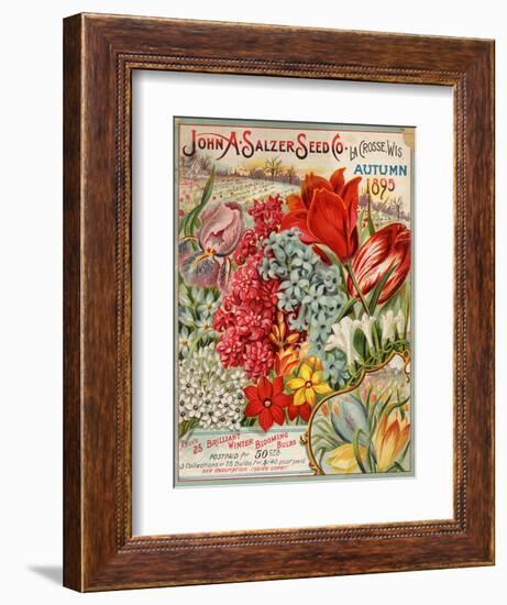 John A. Salzer Seed Co. Autumn 1895--Framed Art Print