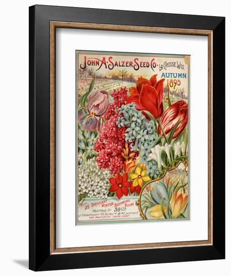 John A. Salzer Seed Co. Autumn 1895--Framed Art Print