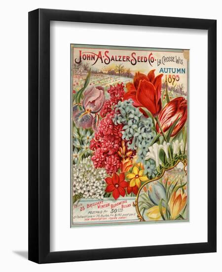 John A. Salzer Seed Co. Autumn 1895--Framed Art Print