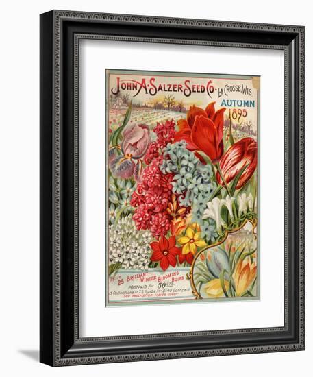 John A. Salzer Seed Co. Autumn 1895--Framed Art Print