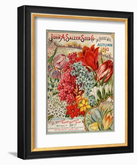 John A. Salzer Seed Co. Autumn 1895-null-Framed Art Print