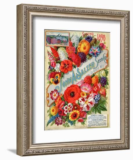 John A. Salzer Seed Co. Spring 1898: Flowers of Paradise-null-Framed Art Print