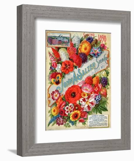 John A. Salzer Seed Co. Spring 1898: Flowers of Paradise-null-Framed Art Print