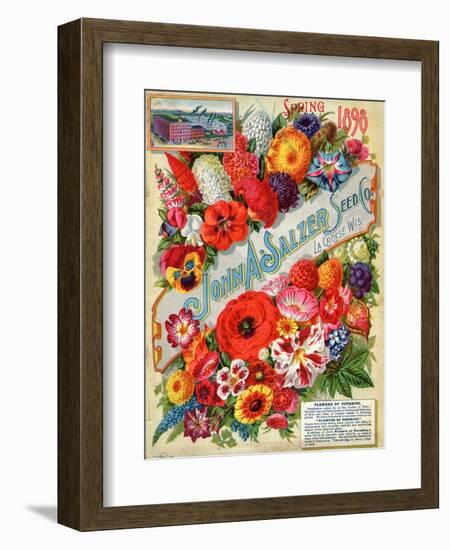 John A. Salzer Seed Co. Spring 1898: Flowers of Paradise-null-Framed Art Print