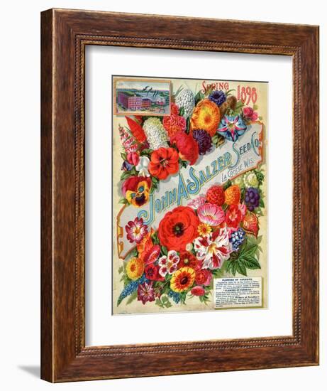 John A. Salzer Seed Co. Spring 1898: Flowers of Paradise-null-Framed Art Print