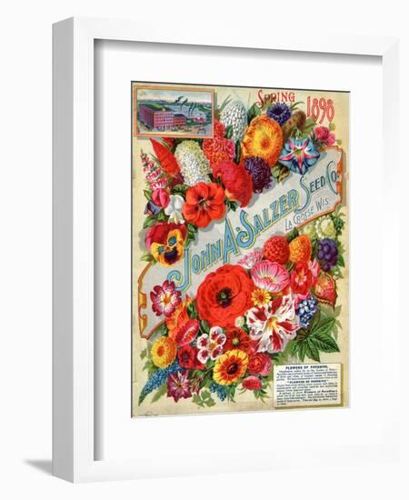 John A. Salzer Seed Co. Spring 1898: Flowers of Paradise-null-Framed Art Print