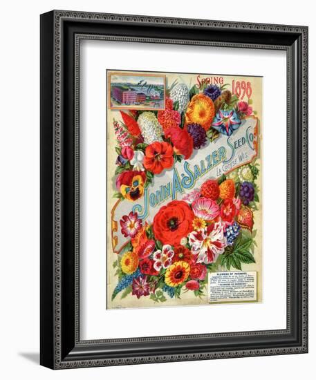 John A. Salzer Seed Co. Spring 1898: Flowers of Paradise-null-Framed Art Print