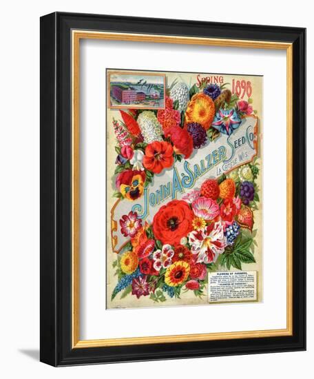 John A. Salzer Seed Co. Spring 1898: Flowers of Paradise--Framed Art Print