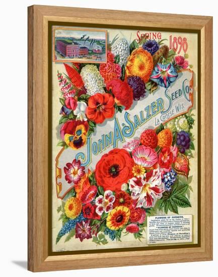 John A. Salzer Seed Co. Spring 1898: Flowers of Paradise-null-Framed Stretched Canvas