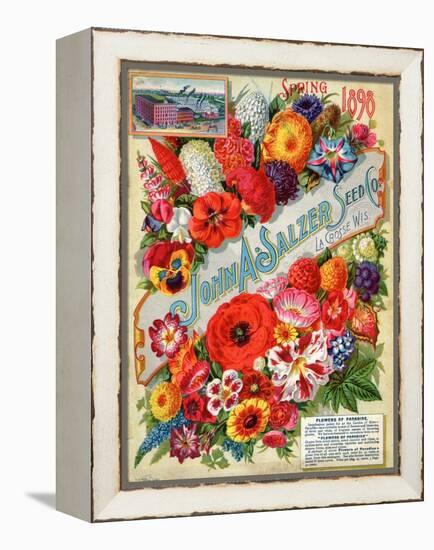 John A. Salzer Seed Co. Spring 1898: Flowers of Paradise-null-Framed Stretched Canvas