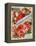 John A. Salzer Seed Co. Spring 1898: Flowers of Paradise-null-Framed Stretched Canvas