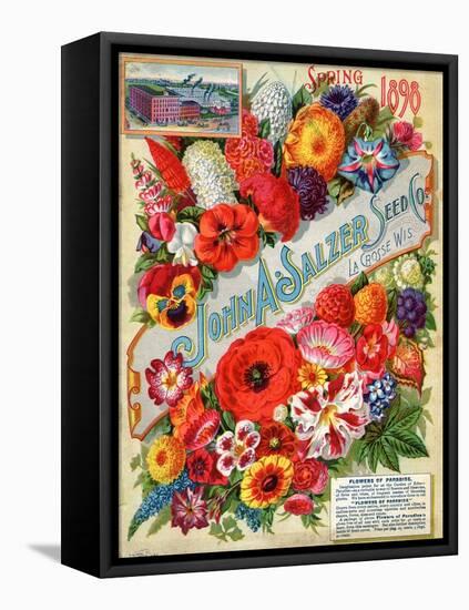 John A. Salzer Seed Co. Spring 1898: Flowers of Paradise-null-Framed Stretched Canvas