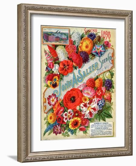 John A. Salzer Seed Co. Spring 1898: Flowers of Paradise-null-Framed Art Print