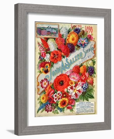 John A. Salzer Seed Co. Spring 1898: Flowers of Paradise-null-Framed Art Print