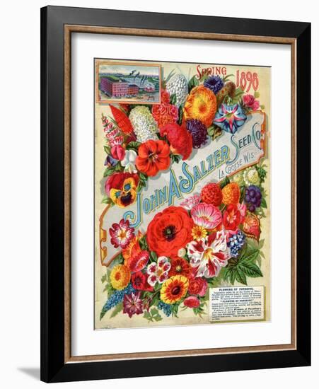 John A. Salzer Seed Co. Spring 1898: Flowers of Paradise-null-Framed Art Print