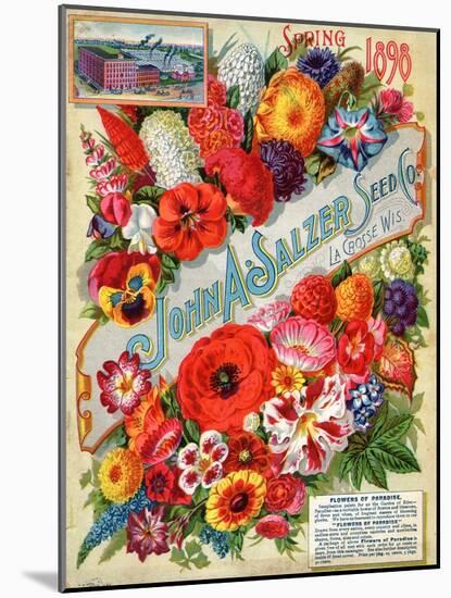 John A. Salzer Seed Co. Spring 1898: Flowers of Paradise-null-Mounted Art Print