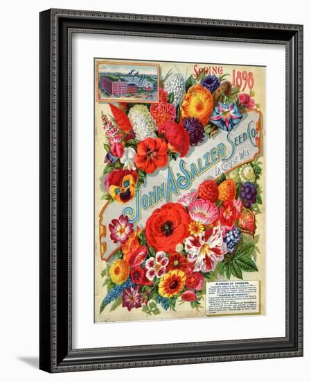 John A. Salzer Seed Co. Spring 1898: Flowers of Paradise-null-Framed Art Print