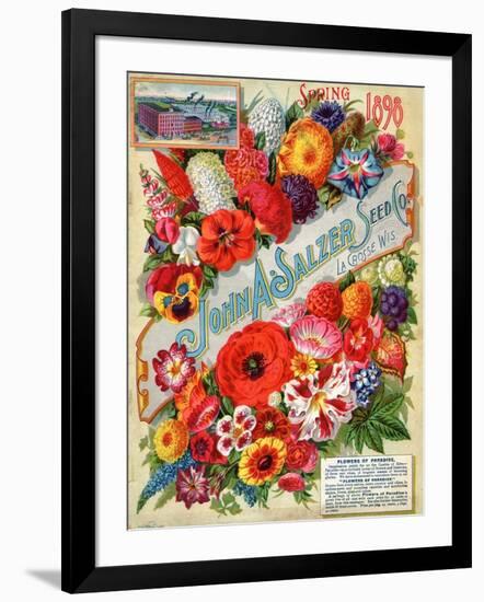 Art Print, , large