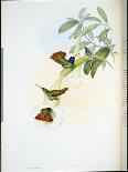 Capercailzie (Tetrao Urogallus) (Hand-Coloured Litho)-John (after) Gould-Giclee Print