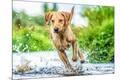 Premium Photographic Print