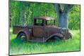 Photographic Print
