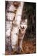 Premium Photographic Print