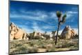 Premium Photographic Print