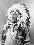 Chief American Horse, C.1900 (B/W Photo)-John Alvin Anderson-Giclee Print