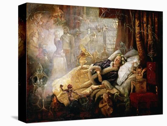 Stretched Canvas Print, , large