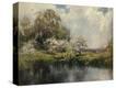 Stretched Canvas Print