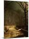 Giclee Print